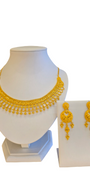 22K Gold Designer Set