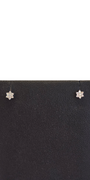 18K Gold Natural Diamond Earrings