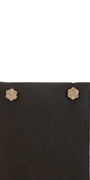 14K Gold Natural Diamond Earrings