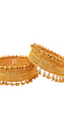 22K Gold Designer 2 Pieces Set Of Ladies Screw Bangles